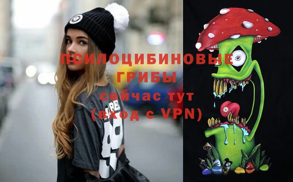 ПСИЛОЦИБИНОВЫЕ ГРИБЫ Балахна