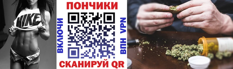 цена наркотик  Славгород  Шишки марихуана семена 